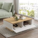 Τραπέζι σαλονιού Thunder pakoworld sonoma-λευκό 90x60x31.5εκ - Image 2