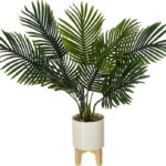 Φυτό σε γλάστρα Green4 pakoworld 83x75x65εκ