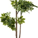 Φυτό σε γλάστρα Green6 pakoworld 70x65x135εκ