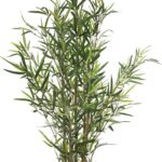 Φυτό σε γλάστρα Green10 pakoworld 63x55x90εκ
