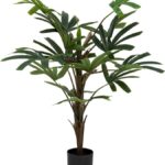 Φυτό σε γλάστρα Emeric pakoworld 15x13x120εκ