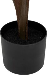 Φυτό σε γλάστρα Emeric pakoworld 15x13x120εκ - Image 3