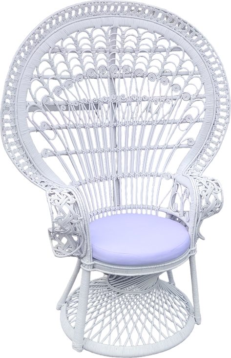 314-000001 Πολυθρόνα Dorothy Inart με λευκό μαξιλάρι-λευκό rattan 115x53x147εκ - Image 1