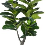 Διακοσμητικό φυτό Fiddlehead I σε γλάστρα Inart πράσινο pp Υ180εκ
