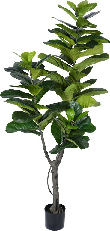 316-000002 Διακοσμητικό φυτό Fiddlehead I σε γλάστρα Inart πράσινο pp Υ180εκ - Image 1