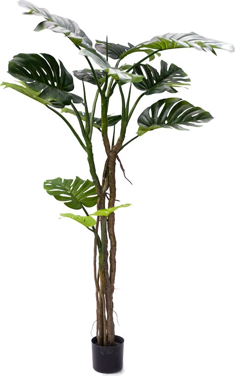 316-000006 Διακοσμητικό φυτό σε γλάστρα Monstera III Inart πράσινο pp Υ180εκ - Image 1