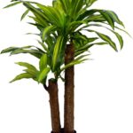 Διακοσμητικό φυτό Dracaena σε γλάστρα Inart πράσινο pp Υ110εκ