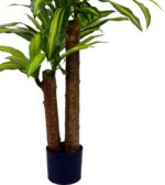 Διακοσμητικό φυτό Dracaena σε γλάστρα Inart πράσινο pp Υ110εκ - Image 3