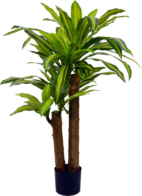 316-000008 Διακοσμητικό φυτό Dracaena σε γλάστρα Inart πράσινο pp Υ110εκ - Image 1