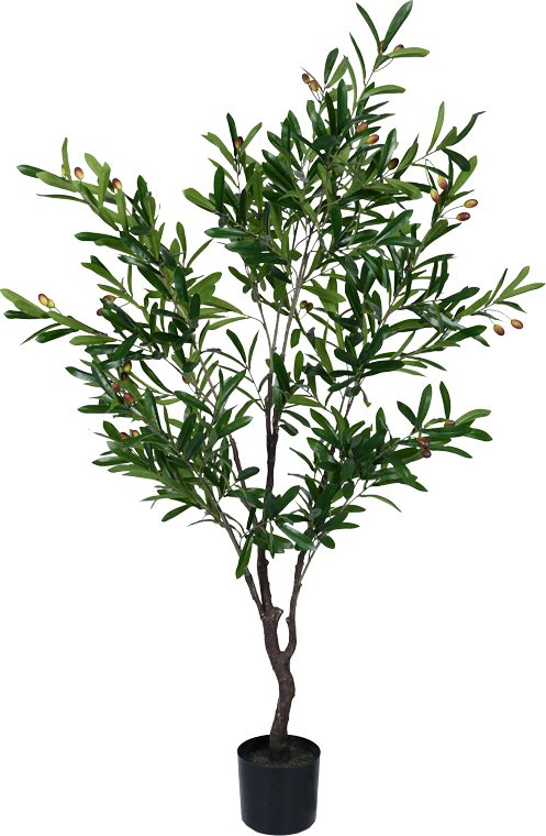 316-000017 Διακοσμητικό φυτό Olive tree I σε γλάστρα Inart πράσινο pp Υ150εκ - Image 1
