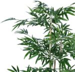 Διακοσμητικό φυτό Bamboo σε γλάστρα Inart πράσινο pp Υ130εκ - Image 2