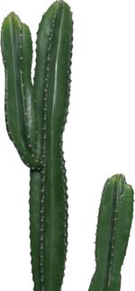 Διακοσμητικό φυτό Cactus I σε γλάστρα Inart πράσινο pp Υ155εκ - Image 2