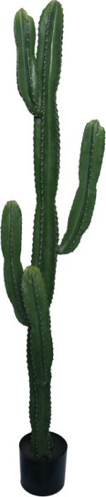 Διακοσμητικό φυτό Cactus I σε γλάστρα Inart πράσινο pp Υ155εκ