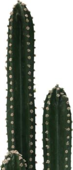 Διακοσμητικό φυτό Cactus III σε γλάστρα Inart πράσινο pp Υ85εκ - Image 2