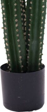 Διακοσμητικό φυτό Cactus III σε γλάστρα Inart πράσινο pp Υ85εκ - Image 3