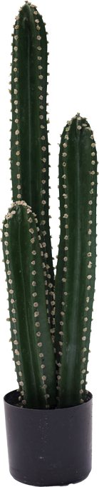 316-000024 Διακοσμητικό φυτό Cactus III σε γλάστρα Inart πράσινο pp Υ85εκ - Image 1