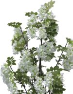 Διακοσμητικό φυτό Bean flowers σε γλάστρα Inart λευκό pp Υ125εκ - Image 2