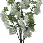 Διακοσμητικό φυτό Bean flowers σε γλάστρα Inart λευκό pp Υ125εκ