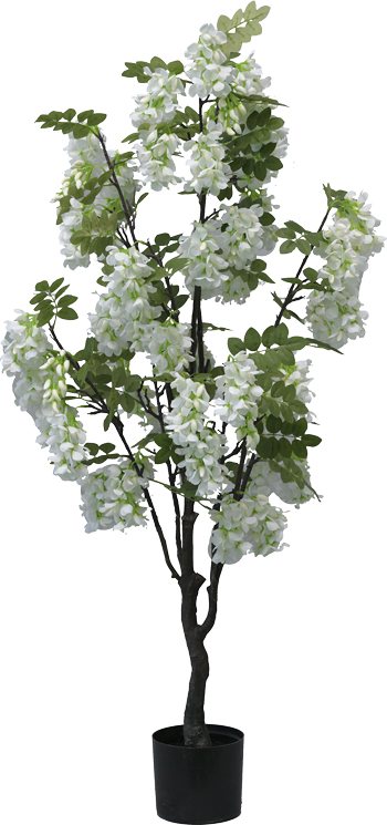 316-000025 Διακοσμητικό φυτό Bean flowers σε γλάστρα Inart λευκό pp Υ125εκ - Image 1