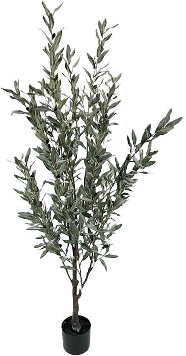 316-000032 Διακοσμητικό φυτό Olive tree II σε γλάστρα Inart πράσινο pp Υ160εκ - Image 1