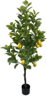 Διακοσμητικό φυτό Lemon tree σε γλάστρα Inart πράσινο pp Υ150εκ