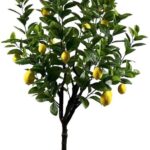 Διακοσμητικό φυτό Lemon tree σε γλάστρα Inart πράσινο pp Υ180εκ