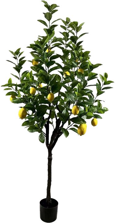 316-000034 Διακοσμητικό φυτό Lemon tree σε γλάστρα Inart πράσινο pp Υ180εκ - Image 1