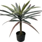 Διακοσμητικό φυτό Dracaena palm σε γλάστρα Inart πράσινο pp Υ62εκ
