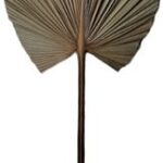 Διακοσμητικό φύλλο Leafen I Inart φυσικό palm leaf 130εκ