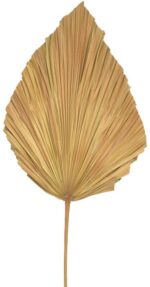 Διακοσμητικό φύλλο Walsy Inart palm leaf σε φυσική απόχρωση Υ135 εκ - Image 2