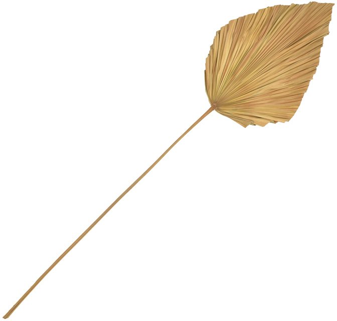 343-000115 Διακοσμητικό φύλλο Walsy Inart palm leaf σε φυσική απόχρωση Υ135 εκ - Image 1