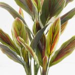 Διακοσμητικό φυτό σε γλάστρα Cycas Inart πράσινο Φ55x80εκ - Image 2