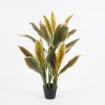 Διακοσμητικό φυτό σε γλάστρα Cycas Inart πράσινο Φ55x80εκ