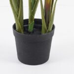 Διακοσμητικό φυτό σε γλάστρα Cycas Inart πράσινο Φ55x80εκ - Image 3