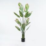 Διακοσμητικό φυτό σε γλάστρα Aglaonema Inart πράσινο Φ80x150εκ