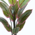 Διακοσμητικό φυτό σε γλάστρα Calathea Inart πράσινο Φ68x120εκ - Image 2