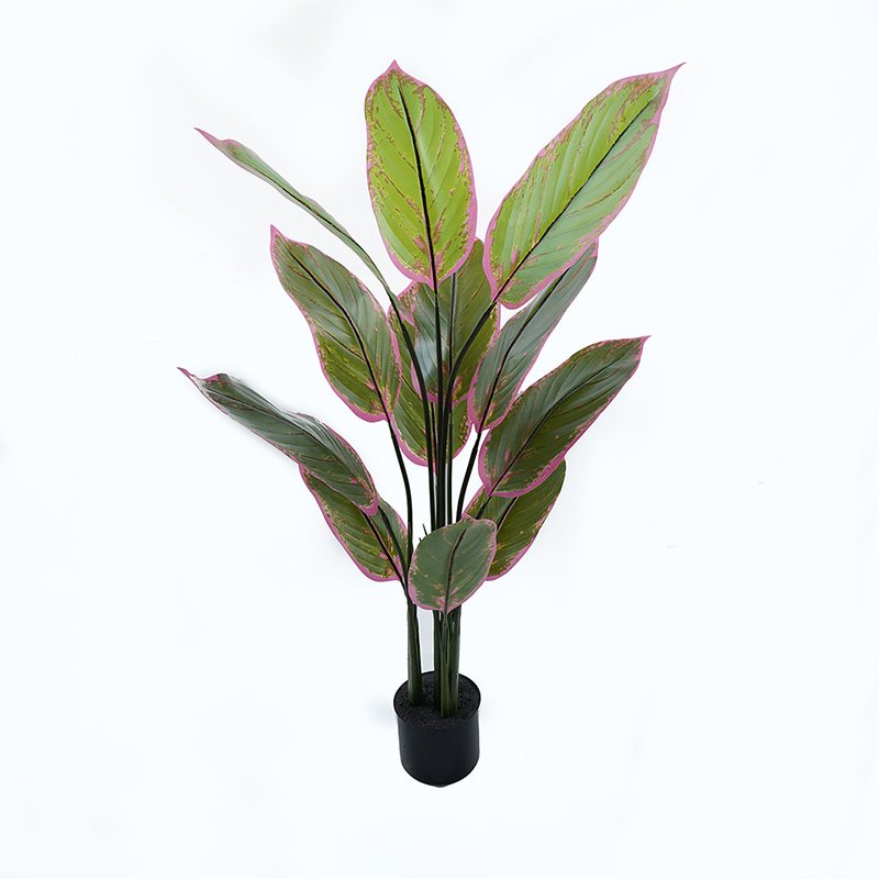 391-000005 Διακοσμητικό φυτό σε γλάστρα Calathea Inart πράσινο Φ68x120εκ - Image 1