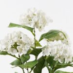 Διακοσμητικό φυτό σε γλάστρα Hydrangea Inart λευκό Φ35x50εκ - Image 2