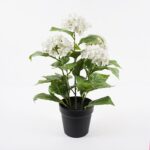 Διακοσμητικό φυτό σε γλάστρα Hydrangea Inart λευκό Φ35x50εκ