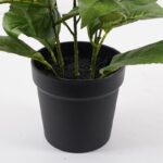 Διακοσμητικό φυτό σε γλάστρα Hydrangea Inart λευκό Φ35x50εκ - Image 3