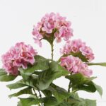 Διακοσμητικό φυτό σε γλάστρα Hydrangea Inart ροζ Φ35x50εκ - Image 2