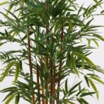 Διακοσμητικό φυτό σε γλάστρα Rhapis Palm Inart πράσινο Φ60x120εκ - Image 2