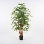 Διακοσμητικό φυτό σε γλάστρα Rhapis Palm Inart πράσινο Φ60x120εκ