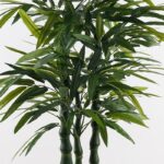 Διακοσμητικό φυτό σε γλάστρα Arti Bamboo Inart πράσινο Φ70x150εκ - Image 2