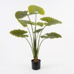 Διακοσμητικό φυτό σε γλάστρα Alocasia Inart πράσινο Φ90x120εκ