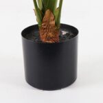 Διακοσμητικό φυτό σε γλάστρα Alocasia Inart πράσινο Φ90x120εκ - Image 3