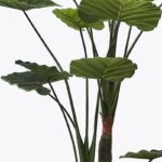 Διακοσμητικό φυτό σε γλάστρα Taro Plant Inart πράσινο Φ90x180εκ - Image 2