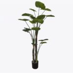 Διακοσμητικό φυτό σε γλάστρα Taro Plant Inart πράσινο Φ90x180εκ