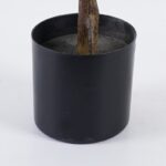Διακοσμητικό φυτό σε γλάστρα Ficus Lyrata Inart πράσινο Φ70x130εκ - Image 3