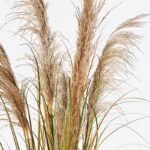 Διακοσμητικό φυτό σε γλάστρα Bulrush Inart Φ65x120εκ - Image 2